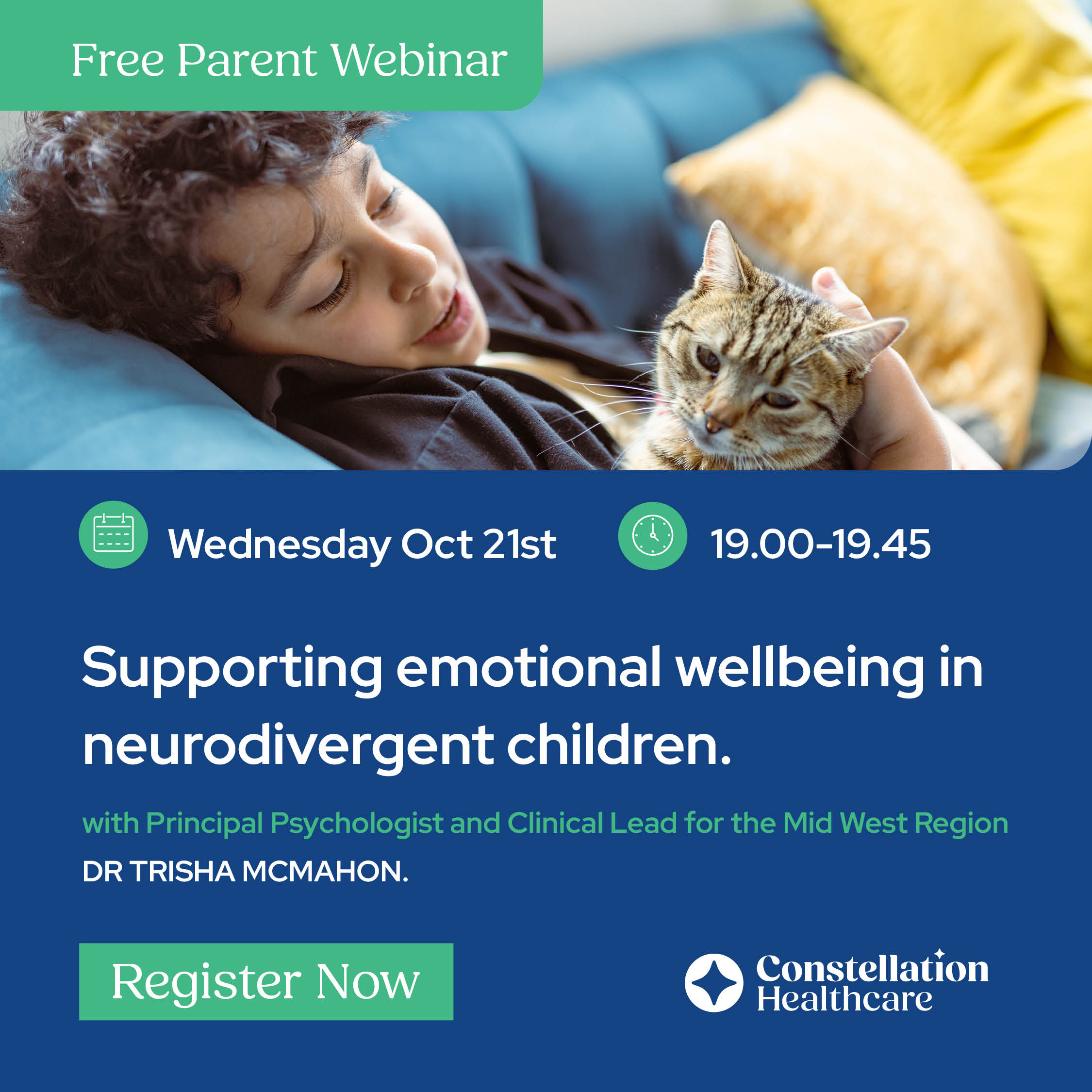 About the Webinar  - Content Image